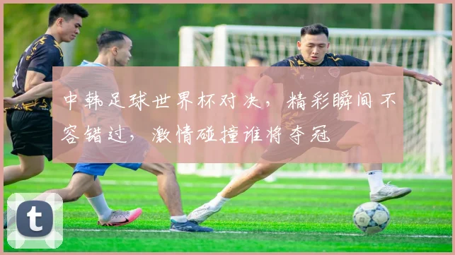 中韩足球世界杯对决，精彩瞬间不容错过，激情碰撞谁将夺冠