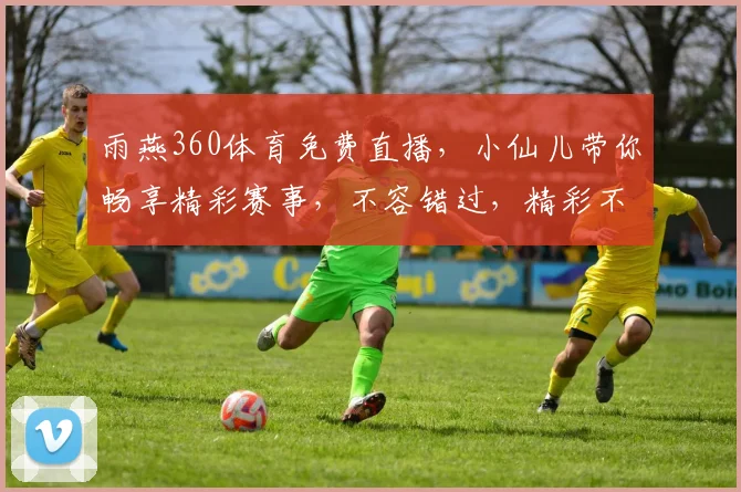 雨燕360体育免费直播，小仙儿带你畅享精彩赛事，不容错过，精彩不断，敬请期待，三重福利