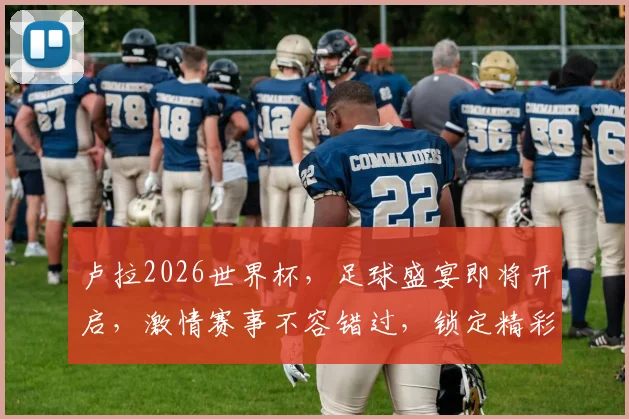 卢拉2026世界杯，足球盛宴即将开启，激情赛事不容错过，锁定精彩瞬间