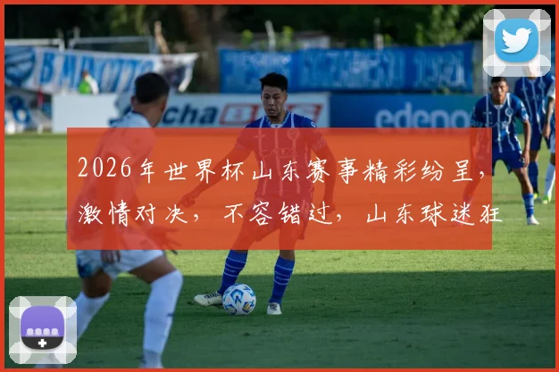2026年世界杯山东赛事精彩纷呈，激情对决，不容错过，山东球迷狂欢时刻