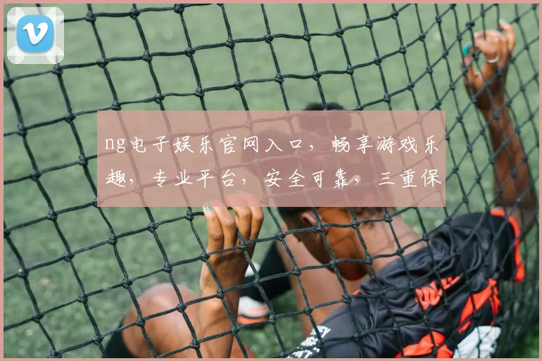 ng电子娱乐官网入口，畅享游戏乐趣，专业平台，安全可靠，三重保障，必看攻略